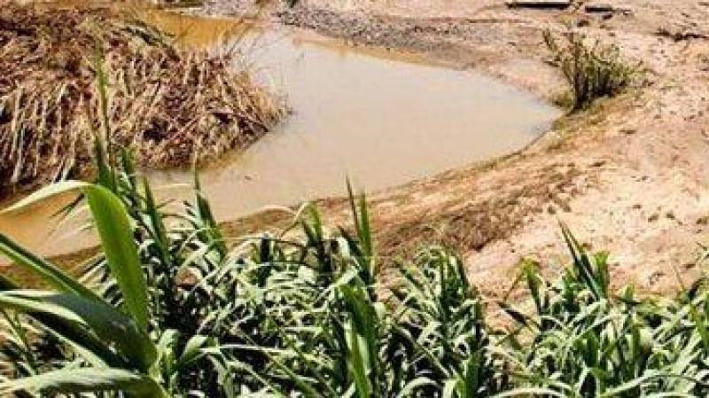 از تلف شدن ۱۰۰ راس دام تا خسارت سیل به گلخانه‌ها و مزارع در جیرفت